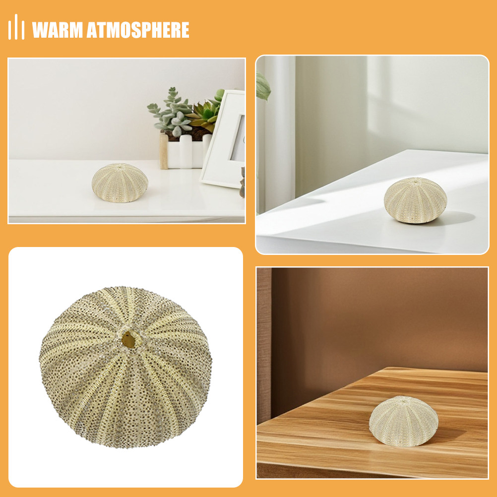 18 Buah Kerang Urchin untuk Is - Art Craft Vase ulasan dan harga