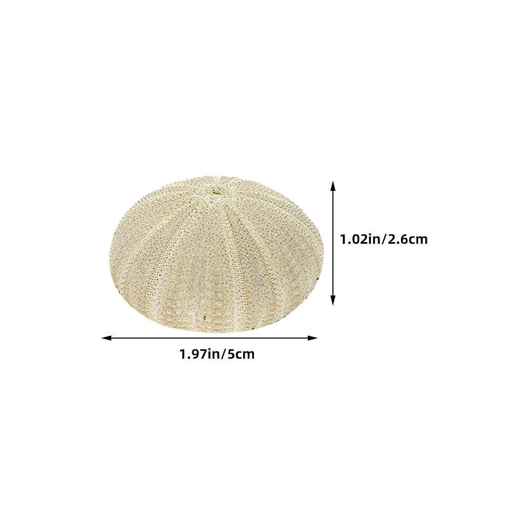 18 Buah Kerang Urchin untuk Is - Art Craft Vase ulasan dan harga