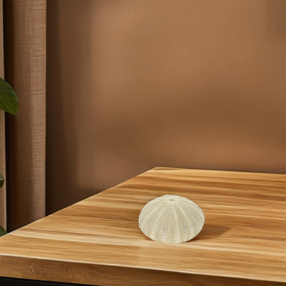 18 Buah Kerang Urchin untuk Is - Art Craft Vase ulasan dan harga