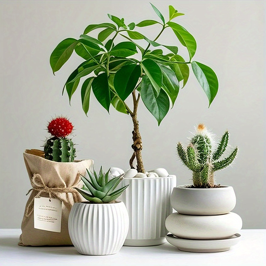 200/400g Batu Kerikil Putih Po - Art Craft Vase ulasan dan harga