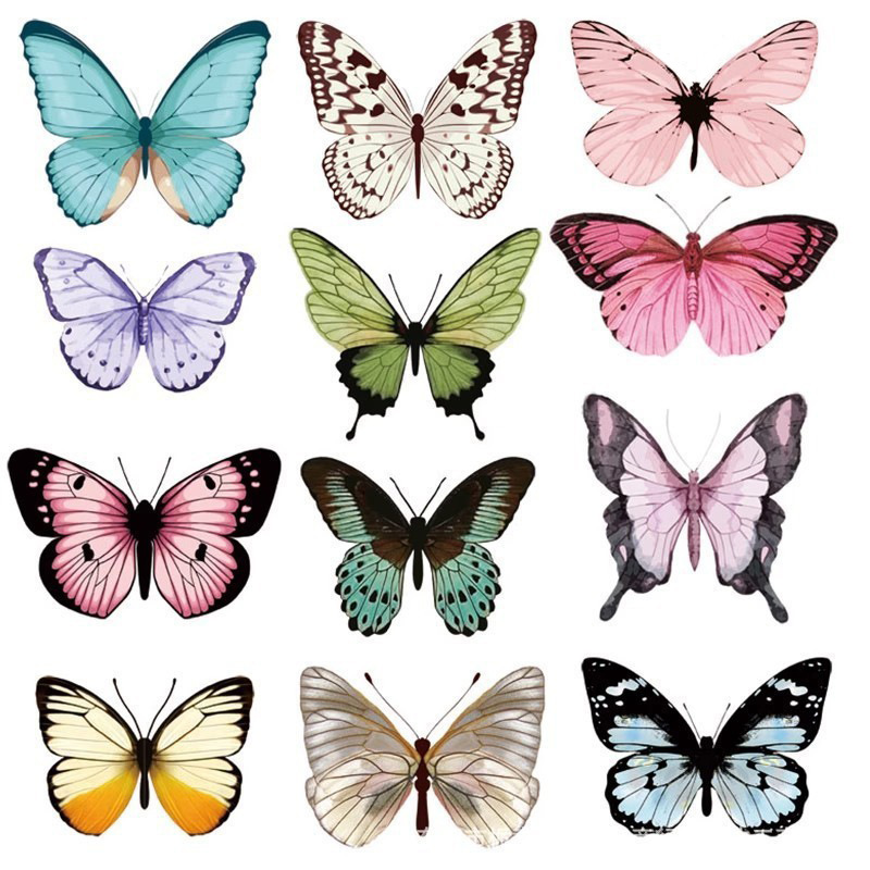 12pcs Stiker Dinding Kupu-kupu - Art Craft Earth Day ulasan dan harga
